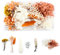 Tomedeks Trockenblumen Deko Trockenblumen Zum Basteln Getrocknete Blumen Schleierkraut Getrocknet Natürliche getrocknete Blumen getrocknete geprägte DIY-konservierte Blumen Blumendekor(C)