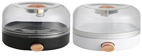 DOITOOL Magnetische Gewürzbox 2 Stück aus Abs und Pet für Küche