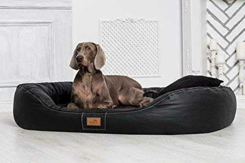 tierlando® Orthopädisches Hundebett Lennart Easy Clean mit Visco-Plus-Matratze und pflegeleichtem Kunstleder-Bezug | Größe: 140x105cm | Farbe: 03 Schwarz