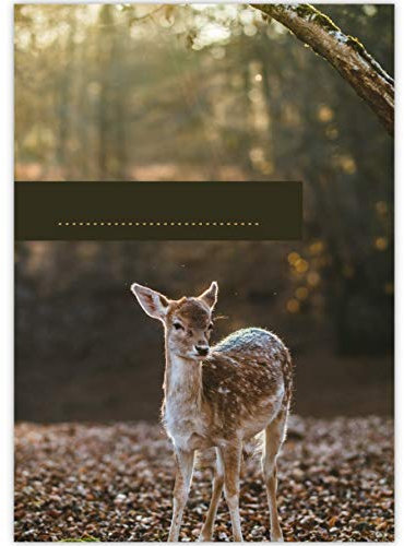 1 schöner DIN A3 Kinder Malblock Motiv Kitz im Wald, braun • Zeichenblock Skizzen-Block 25 Blatt weiß, kopfverleimt, holzfreies Qualitäts-Papier 100g/m²- für Schule, Basteln, Hobby