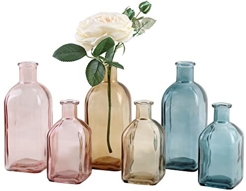 GMWD Glass Flower Vase Set of 6 Clear Bud Vases, 14.5 Oz 8 Oz Apothecary Bottle Assorted Color Vases Decorative for Centerpieces Home Decoration Wedding Reception Table Decor