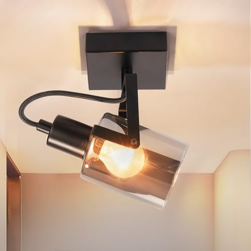 CBJKTX Deckenstrahler Schwarz Deckenlampe Vintage - 1 Flammig Deckenleuchte 350° Schwenkbar Küchelampe Rauchgrau Glas Wandleuchte E14 Flurlampe für Schlafzimmer Flur Küche Wohnzimmer(Ohne Lichtquelle)