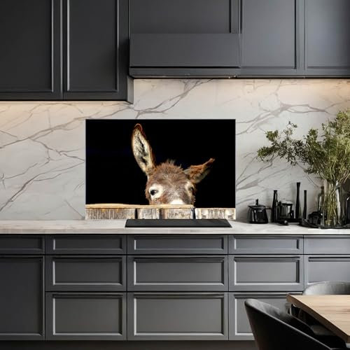 banjado Küchenrückwand Glas ohne Bohren 90x60cm – Glasrückwand Küche mit Motiv Esel/Spritzschutz Küchenrückwand Glas/selbstklebende Küchenrückwand Platte - magnetisch & beschreibbar