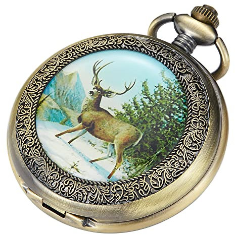 Alwesam Luxuriöse Zwei Unterzifferblätter Mechanische Taschenuhr Handaufzug Bronze Legierung Skelett Rückseite Mit Kette Retro Römische Ziffern Uhr, Grün/Braun