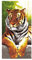 Strandtücher Badetuch Schnell Trocknend 100% Microfiber 3D Tiger Hawaii Strand Muster Handtuch,Reisen Surfen Saunatücher 70 x150 cm (3D Tiger B)