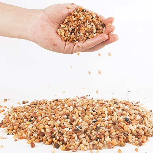 1.4 kg grober Sandstein, Sukkulenten und Kakteen, Bonsai, DIY-Projekte, Steine, dekorativer Kies für Pflanzen und Vasen, Füllstoffe, Terrarium, Naturstein, Top Dressing für Topfpflanzen (2 mm-4 mm)