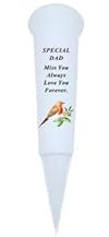 In Loving Memory Verse Graveside Memorial Grave Spiked Flower Vase (Dad, White with Robin Design)