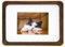 Kattepote Kleines Bilderrahmen 9x13 cm für Schreibtischdeko, Holz Fotorahmen 5x3,5 Zoll, Tischfotorahmen aus Natürliches Walnussholz