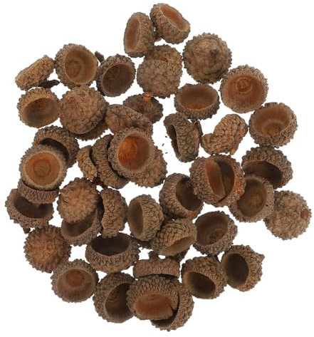 STOBAZA 100 STK Trockene Eichelverzierung Griffe Füllstoffe Eichel Christbaumschmuck Vase Eichelfüller Eichel Weihnachtsschmuck Heimdekoration Eichel Handwerk Eichel Kranz Ornament Bausatz