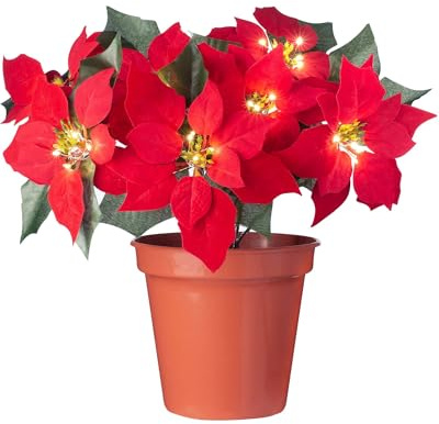 WeRChristmas Blumentopf, Weihnachtsstern, beleuchtet, Mehrfarbig, 45 cm