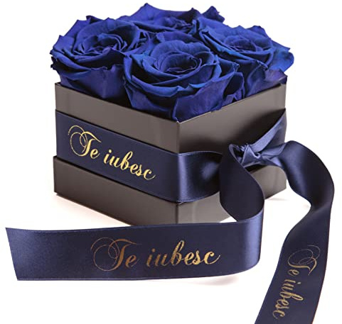 Rosemarie Schulz Heidelberg Infinity Boîte à roses préservées Durée de vie de 3 ans Boîte à fleurs Cadeau Saint Valentin pour femme Bleu
