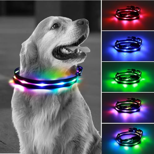 Aisuowa Leuchthalsband Hund Aufladbar, USB Led Halsband für Hunde, Wasserdicht Hundehalsband Leuchtend für Mittlere Groß Hunde, Einstellbare12 Beleuchtungsmodi, M (38~50cm)