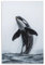 TBDUEPS Leinwandbild mit Orca-Wal, der aus dem Wasser springt, Wandkunst für Wohnzimmer, Schlafzimmer, moderne Wandkunst, 20 x 30 cm