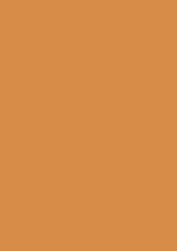 Heyda 203300041 Krepp-Papier Röllchen 50 x 250 cm Farbe: orange