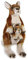 National Geographic S 8004332707622 Lelly Känguru mit Baby (NGS), Natur