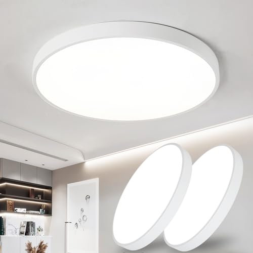 Style home 2 Stück 24W LED Deckenleuchte Deckenlampe Ø30x4cm, 3000K Warmweiß, Runde Lampe für Wohnzimmer Schlafzimmer Arbeitszimmer Büro Küche (Weiß)