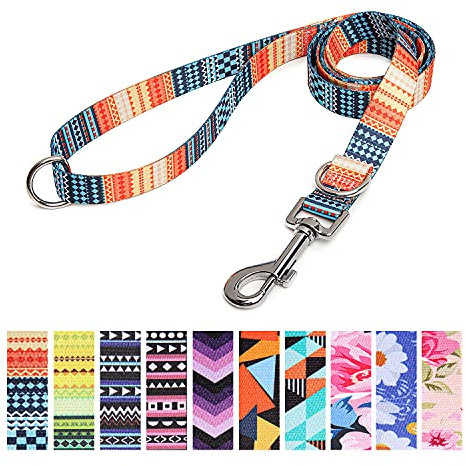 Suredoo Hundeleine Verstellbare, Weich & Komfort Nylon Haustier Trainingsleine mit Doppel-D-Ringfür Kleine Mittlere Große Hunde, 120cmx2cm (Orange)