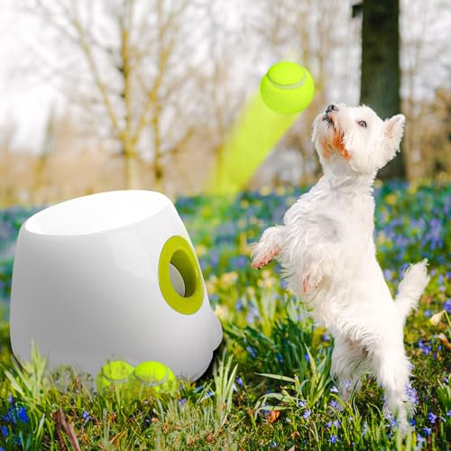 ALL FOR PAWS Automatischer Ballwerfer, Hunde Ball Interaktive Ballwurfmaschine, Interaktiver Automatischer Hundeballwerfer für Kleine und Mittelgroße Hunde
