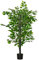 HOMCOM Planta Ficus Artificial 135 cm en Maceta con 756 Hojas Planta Sintética Realista para Interior Decoración para Hogar Salón Oficina Verde
