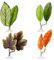 Lyreh 4pcs Betta Leaf Hammocks, Adjustable Plastic Betta Bed Resting Spot Tank Decor Aquarium Plant Decoration with Suction Cup & Bracket for Four-Eyed Silk Fish Guppy to Rest (Yellow, Green, Brown)
