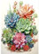 DAERLE Diamond Painting Aquarell Sukkulenten, Diamant Painting Bilder Kaktus, DIY Diamant Vollbild, Malen Nach Zahlen Erwachsene, 5D Diamant Painting für Wand Dekoration 30x40cm