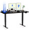 FLEXISPOT Höhenverstellbarer Schreibtisch Elektrisch, 3-Fach Teleskop & Dual-Motor, Belastbarkeit 160 KG, Bürotisch mit Memory-Funktion&Anti-Kollisionssystem(160 x 80 cm Schwarz, Gestell Schwarz)