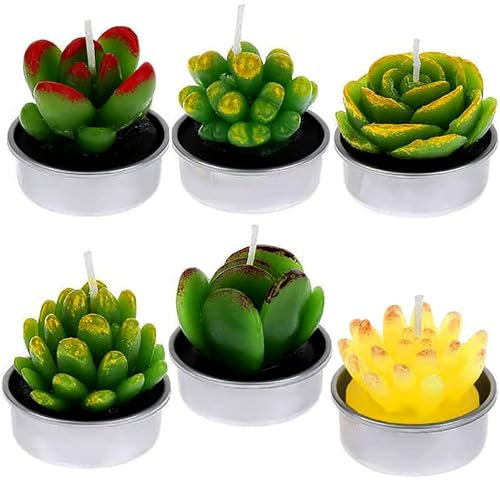 JIAMIAN 6 velas creativas de cactus para suculentas, hechas a mano, delicadas, lindas mini plantas suculentas, perfectas para decoración del hogar