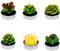JIAMIAN 6 velas creativas de cactus para suculentas, hechas a mano, delicadas, lindas mini plantas suculentas, perfectas para decoración del hogar