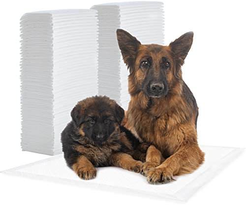Iris Ohyama, Tappetini per cuccioli/addestramento, strato multiplo, tappetini super assorbenti per incontinenza di animali domestici, per cani e cuccioli max 35kg - Pet Pad NS-100 DW, Bianco