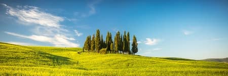adrium Holz-Bild 150 x 50 cm: Schöne Landschaft in der Toskana, Italien(52414996)