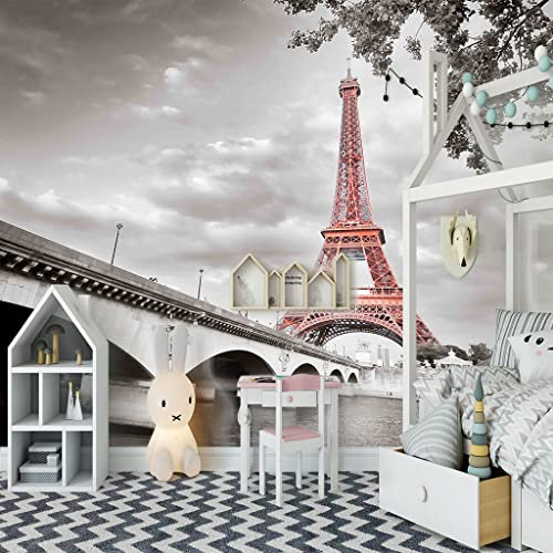 TFLABS Papier Peint Panoramique 3D Pont et Tour Eiffel Taille:L150CMxH105CM Peint À La Main Tapisserie Murales Papier peint Intissé Chambre Salon Decoration