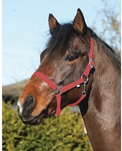 Eldorado Halfter Standard - rot - Pony