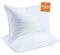 Sleep Restoration Nackenkissen - Kopfkissen für Seitenschläfer, Rücken-& Bauchschläfer - Daunen-Alternative - Weich & kühlend - 2 Premium-Kissen-51x76