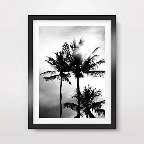 TROPICAL BLACK WHITE PALM TREES SILHOUETTES ART PRINT POSTER Home Decor Wall Nature Photo Picture A4 A3 A2 (10 Sizes)