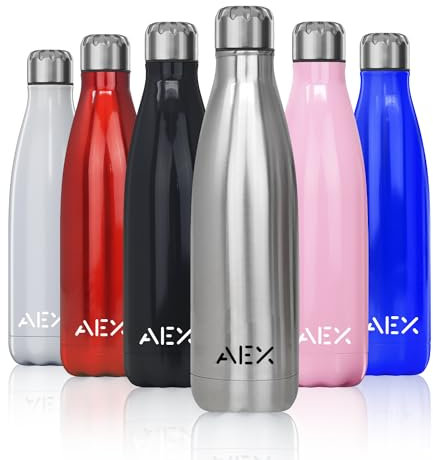500ml isolierte Wasserflasche - Doppelwandiger vakuumisolierter Edelstahl (silber)