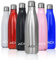 500ml isolierte Wasserflasche - Doppelwandiger vakuumisolierter Edelstahl (silber)