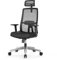 Duwinson Ergonomic Mesh Home Office Chair With Back Support, 3-Way Adjustment Armrest, Executive Desk Chair with Reclining Adjustment, Adjustable Headrest