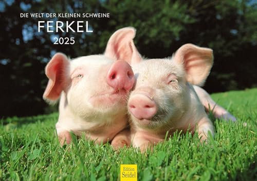 Edition Seidel Premium Kalender Die Welt der kleinen Schweine Ferkel 2025 Format DIN A3 Wandkalender Tierkalender Tiere Schwein Frischling Wildschwein heimische Säugetiere