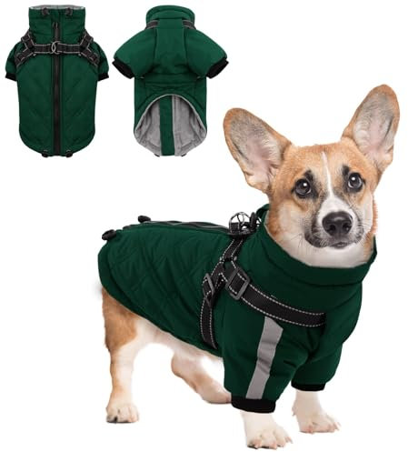 CITÉTOILE Warmer Hundejacke mit Geschirr, Winddichte Hundemantel für Kaltes Wetter, Hundebekleidung mit Reißverschlüssen und Lockeren Bündchen für Hunde, Grün, M