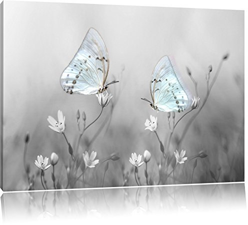 Pixxprint Zwei schöne weiße Schmetterling auf kleinen Blumen B&W Detail, Größe: 80x60cm, Leinwandbild, fertig gespannt, Wandbild, Dekoration, Kunstdruck, kein Poster
