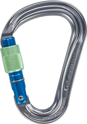 Climbing Technology Warlock Karabiner Silber