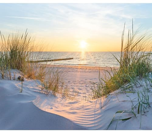 decomonkey Fototapete Strand 350x256 cm Tapete Fototapeten Vlies Tapeten Vliestapete Wandtapete Moderne Wand Wandbild Schlafzimmer Wohnzimmer Meer Dünen Sonne Himmel Natur Panorama Wasser