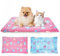 MICOOYO 2 Stück Hundekäfig Bett Matratze – Fleece Haustier Kissen Bett Matte Waschbar Katze Kissen Pad für mittelgroße Hunde Katze Welpen (69 * 52 cm)