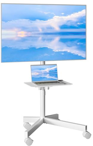 Supporto TV da Pavimento per Schermi Plasma/LCD/LED 23-60 Pollici con Ruote, Carrello Staffa Porta Mobile Supporto TV Fino a 25 kg, Max VESA 400 x 400 mm (Bianco)