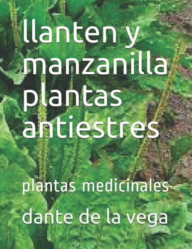 llanten y manzanilla plantas antiestres: plantas medicinales