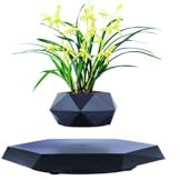 LMingKun Pot de fleurs en lévitation magnétique rotatif pour la maison, le salon, le bureau, la décoration (noir)