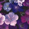 Géranium vivace Mix 10 Graines