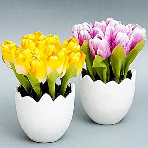 FStening 10 Pezzi Mescolare Tulipani Bulbi Fiori Perenni Nani Per Piantare Vasi Da Fiori Da Giardino Non Hanno Bisogno Di Molta Cura Crea Un'atmosfera Diversa