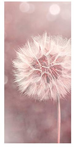 Bilderwelten Magnettafel - Pusteblume Bokeh rosa - Memoboard Panorama 78 x 37cm