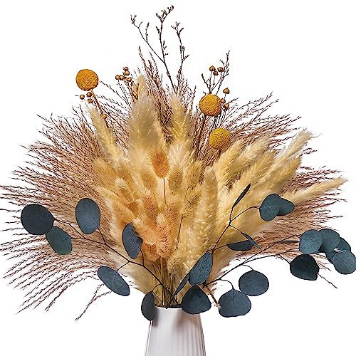 Pampa Naturelle séchée, 74 Pcs Pampa Plantes séchées pour la décoration de la Maison, Bouquet de Pampa Fleurs Séchées Decoration de Table Boho